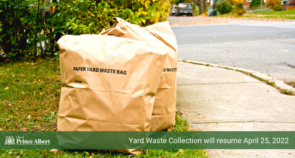 Yard Waste Collection 
