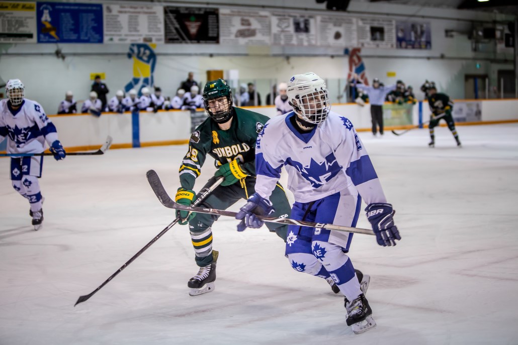 two hockey players