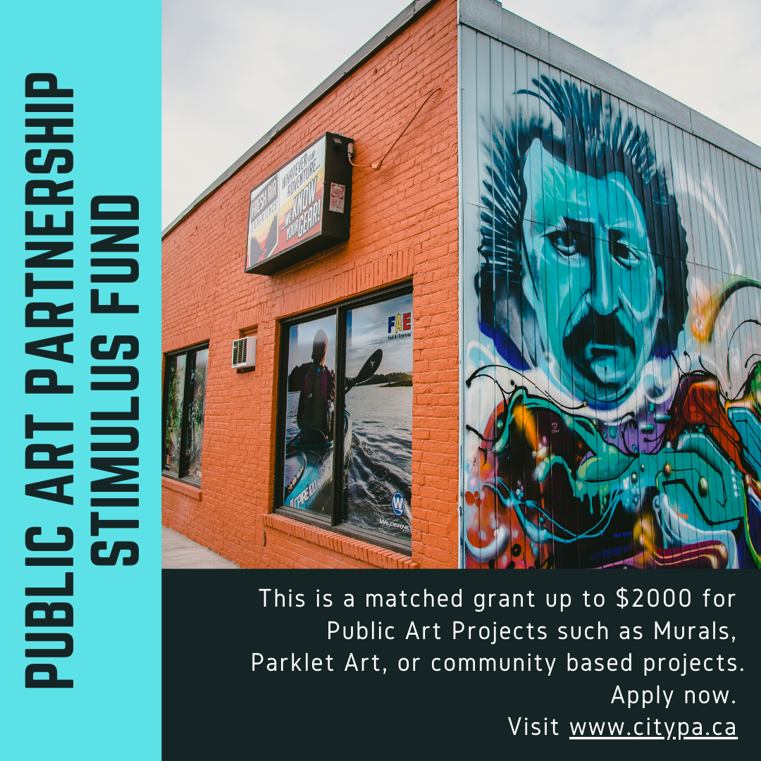 Public Art Partnership Stimulus Grant
