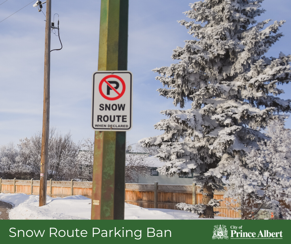 Snow Route Parking Ban