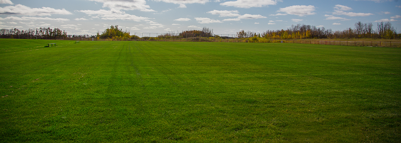 New soccer fields at Alfred Jenkins Field House