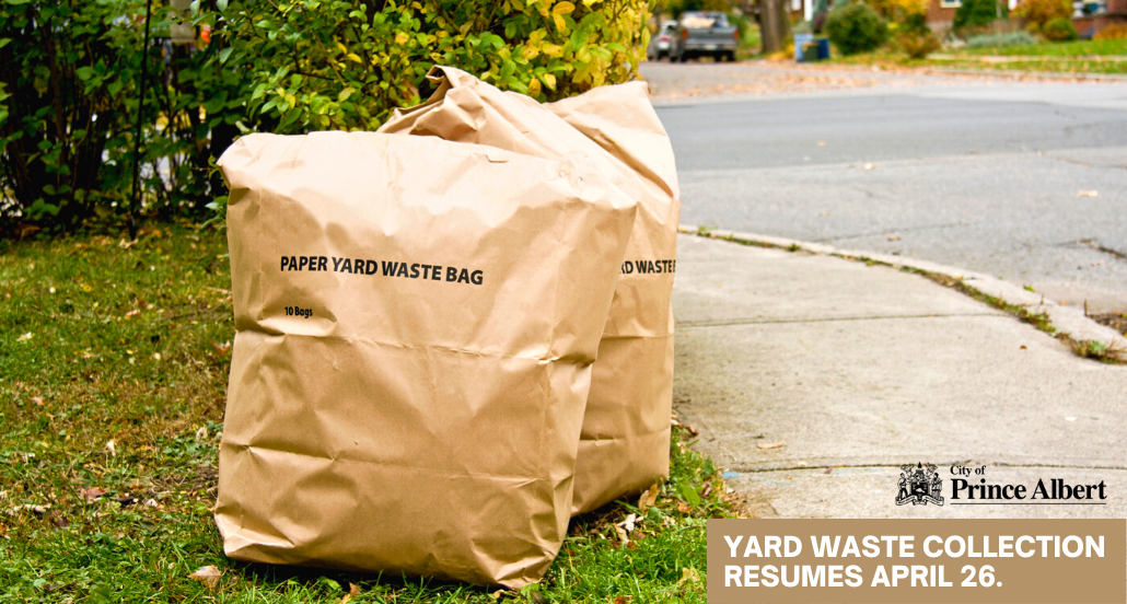 Yard Waste Collection 