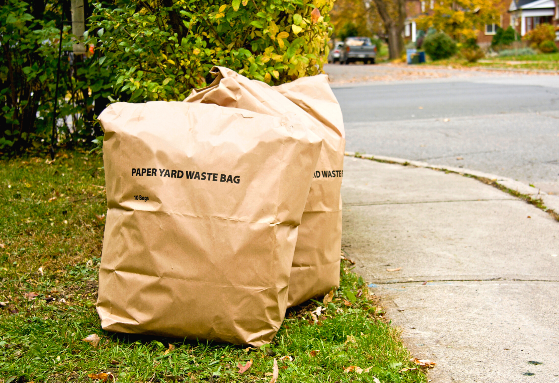 Yard Waste